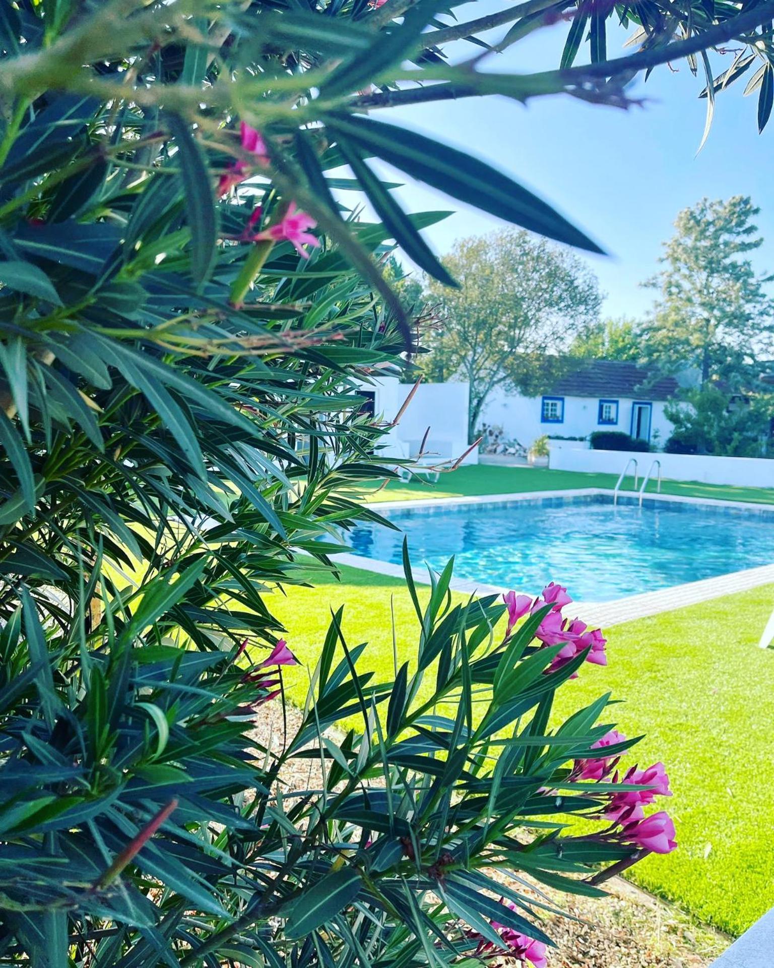 Na Quinta- Alojamento Rural Com Piscina De Agua Salgada Poceirao Eksteriør bilde
