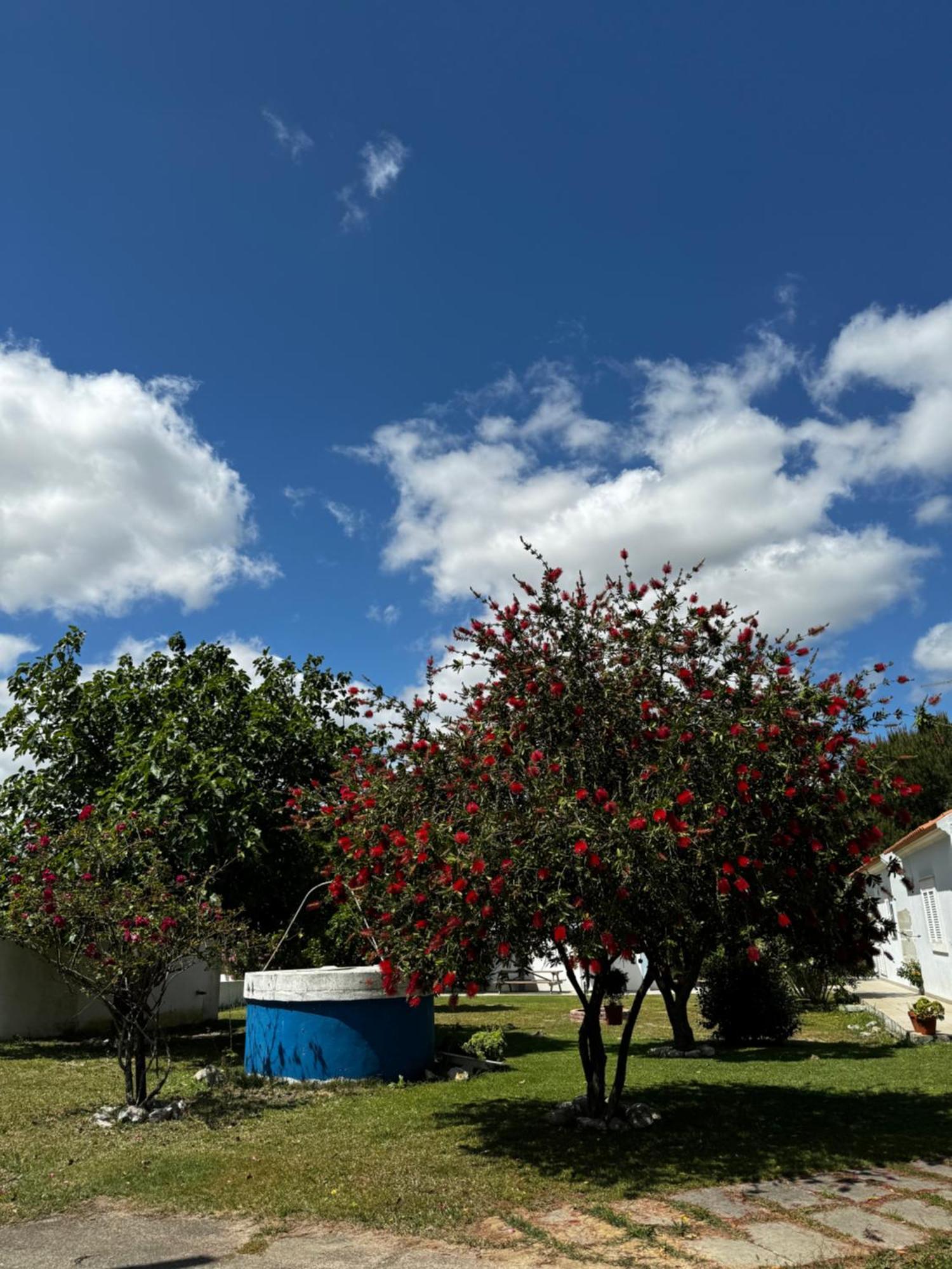 Na Quinta- Alojamento Rural Com Piscina De Agua Salgada Poceirao Eksteriør bilde