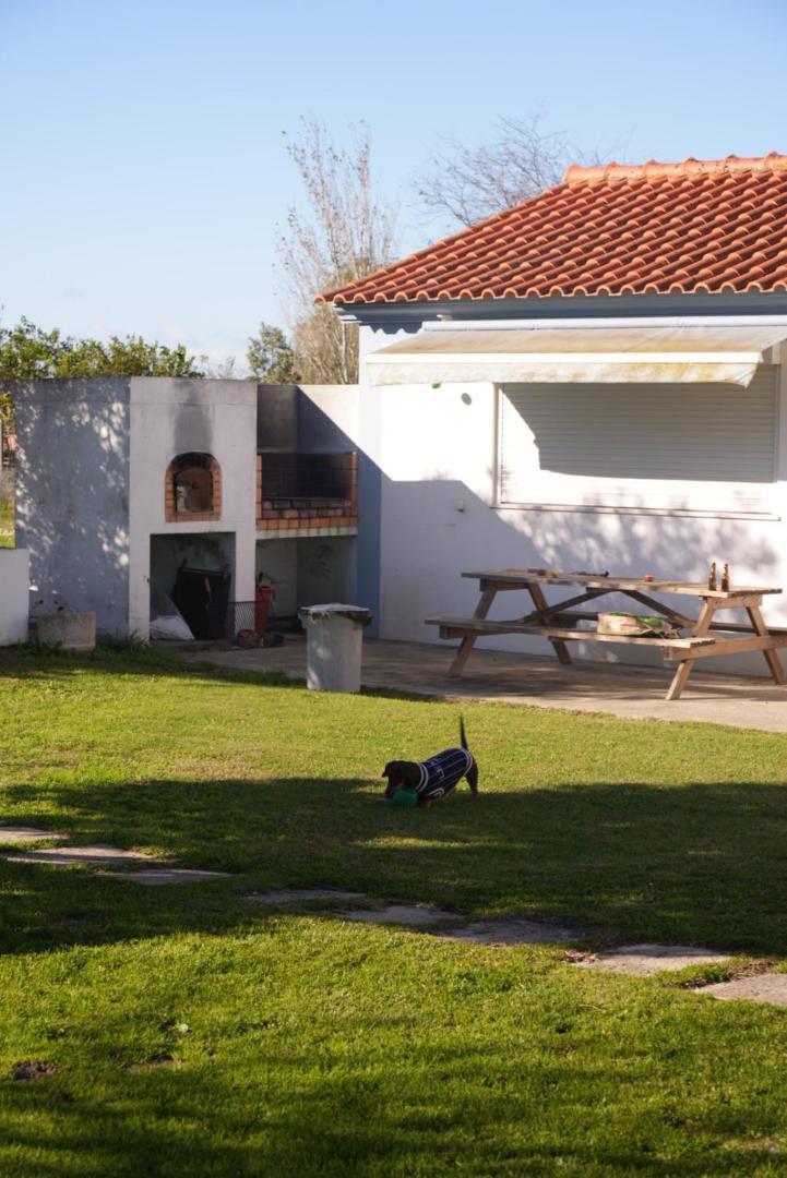 Na Quinta- Alojamento Rural Com Piscina De Agua Salgada Poceirao Eksteriør bilde